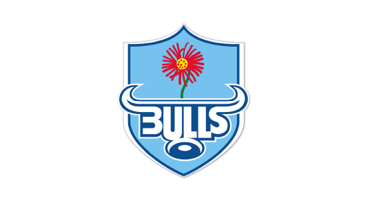 Bulls Logo