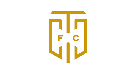 Cape Town City FC Logo