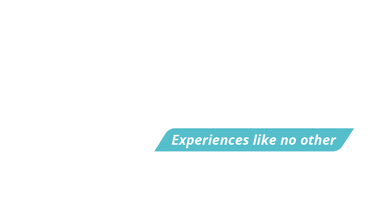 FLOOID - Subsidiary of SAIL White Logo