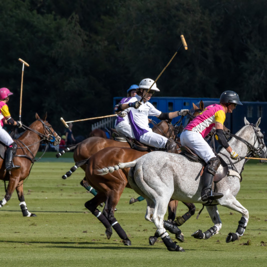 Rights Holders Polo